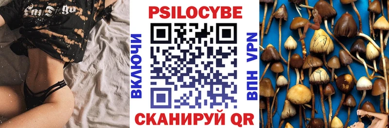 Галлюциногенные грибы прущие грибы  Электросталь 