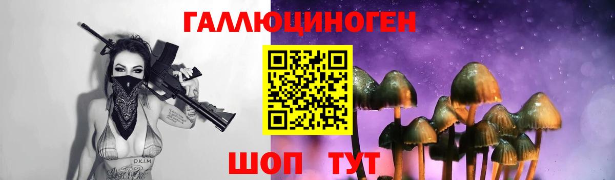 Псилоцибиновые грибы мухоморы Электросталь
