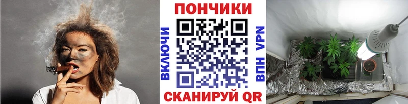 Бошки Шишки гибрид  Электросталь 